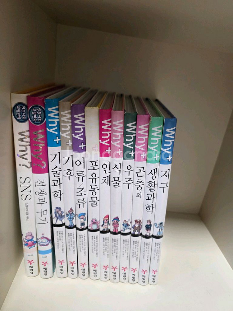 why? 인문사회교양만화 31권 택포--1