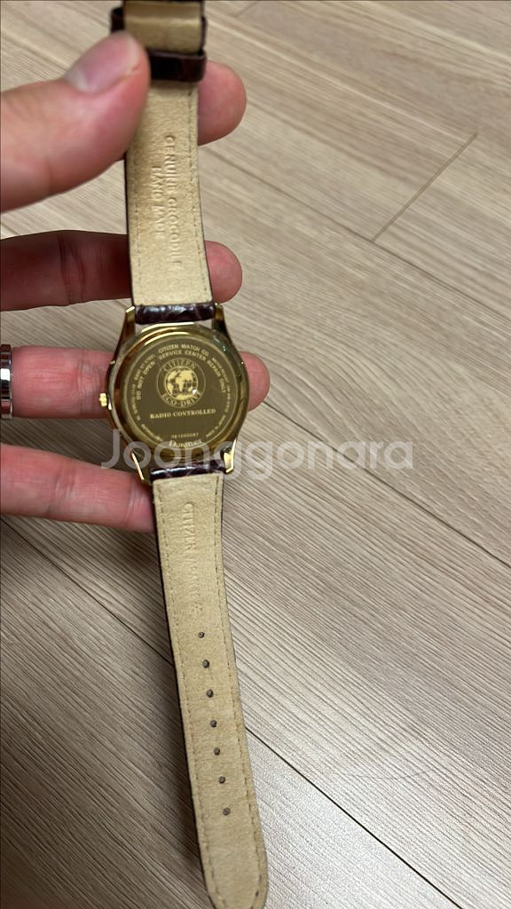 시티즌 익시드 티타늄 37mm 금 아이보리 에코드라이브--6