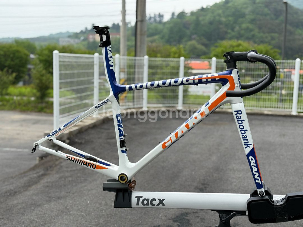 자이언트 TCR 라보뱅크 팀 프레임셋--0