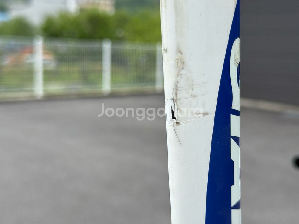 자이언트 TCR 라보뱅크 팀 프레임셋--4