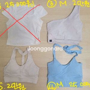 sl 에스엘 스포츠 폴댄스옷 폴웨어 여자 운동복 반팔티