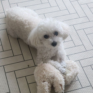 cu편의점쿠폰