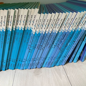 탄탄자연속으로