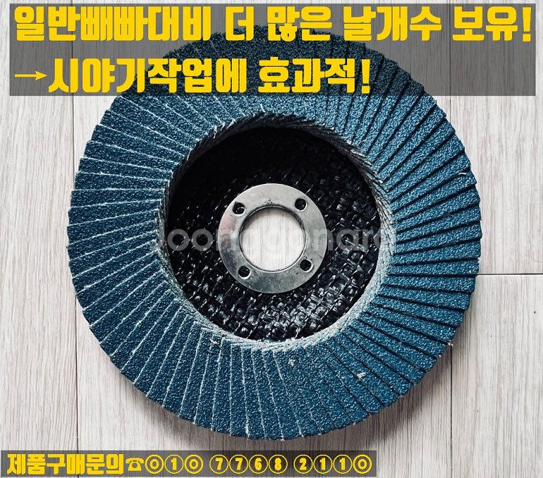 레즈본 청평 플랩디스크--3