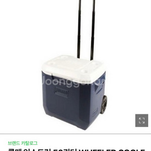 콜맨아이스박스 50