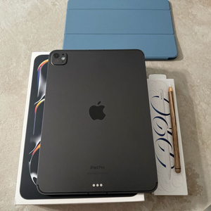 아이패드프로11 M4 1TB 셀룰러 애케플 애플펜슬