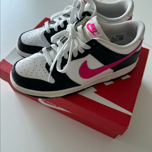 나이키 덩크로우 GS 7Y 250