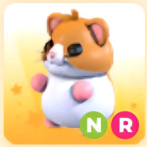 입양하세요 NR 햄스터