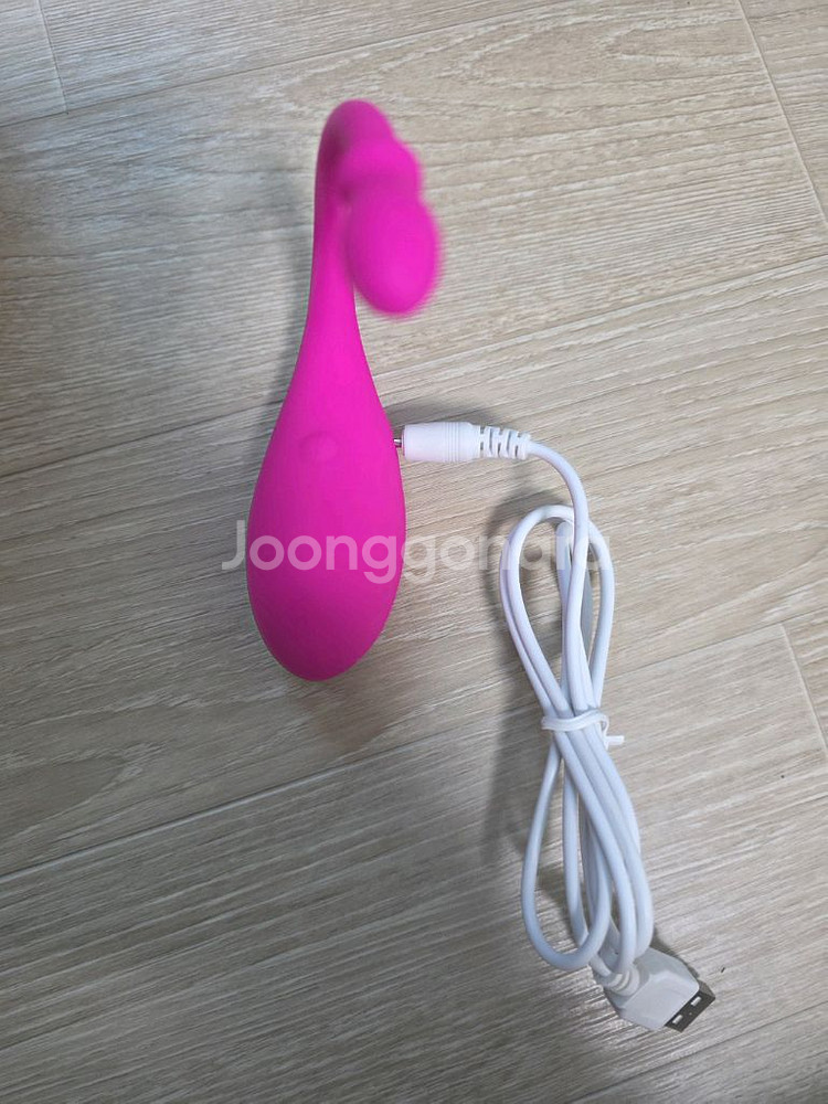 lovense lush--1