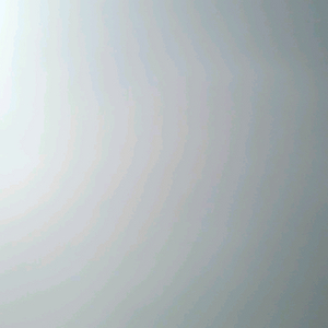 그로우 어 가든 펫 판매
