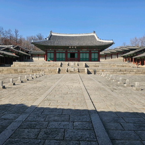 (구매)다반 메스뉴 3차 35만에 삽니다