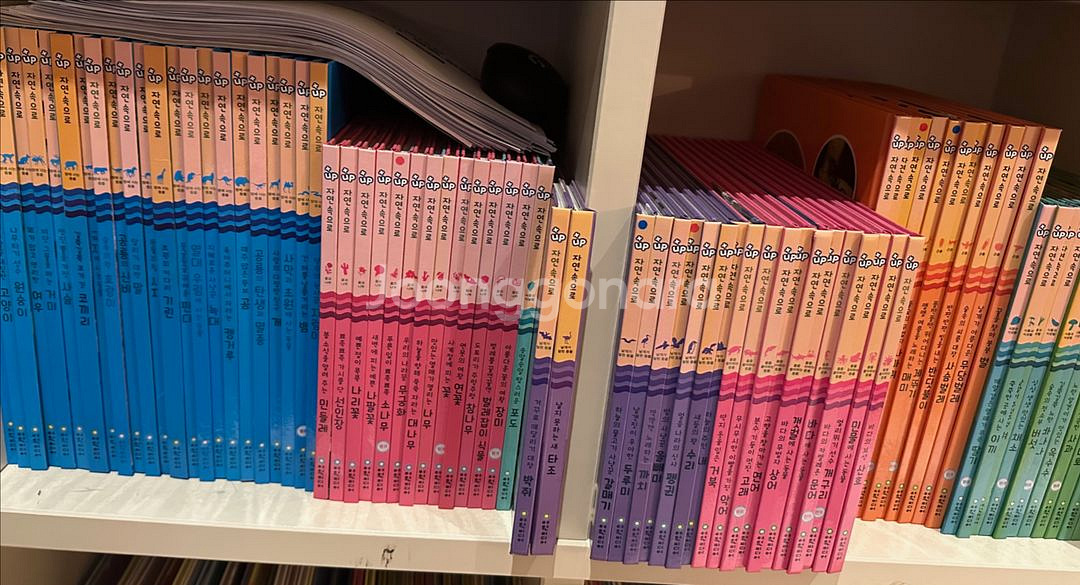 탄탄 플러스업 자연속으로 101권 자연관찰 전집--0