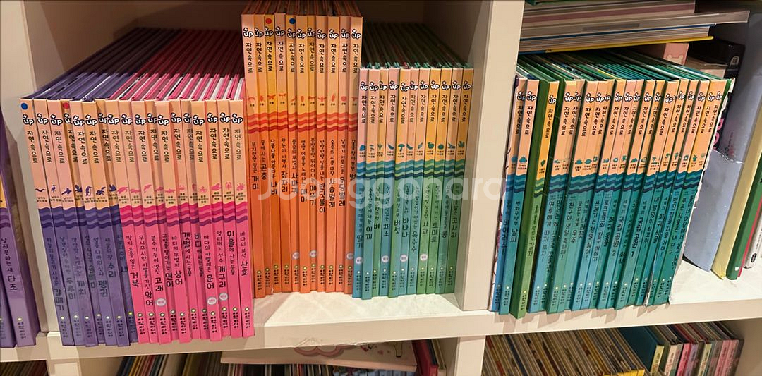 탄탄 플러스업 자연속으로 101권 자연관찰 전집--1