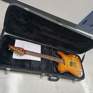 tom anderson hollow t.
