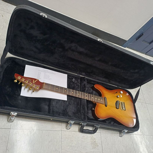 tom anderson hollow t.