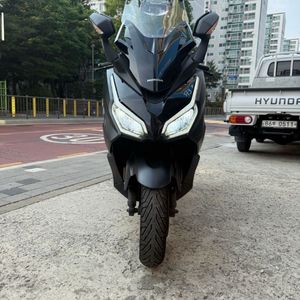 24년식 포르자350 보증남음 배달세팅