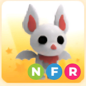 입양하세요 NFR 알비노 박쥐 (네알박)