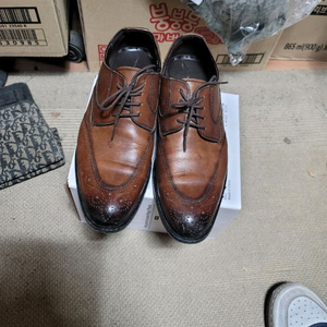 텐디 홍창구두 250