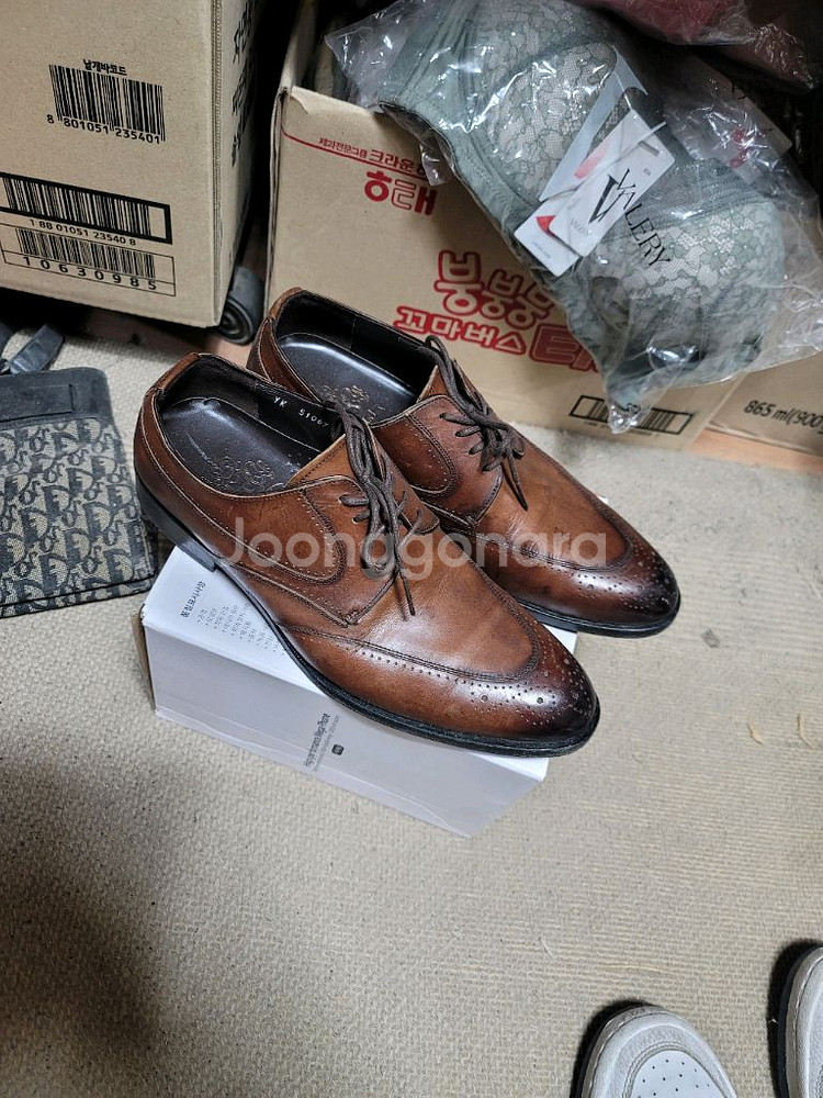 텐디 홍창구두 250--6