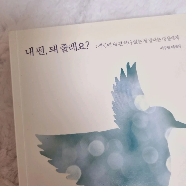 상처치유 심리 에세이 심리학 마음다스림 이미지