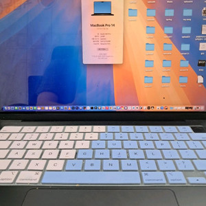 맥북 프로 M4 pro 512gb 24gb RAM