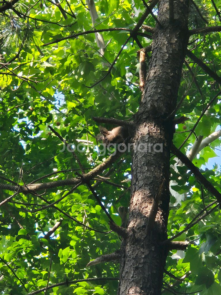 설악워터피아 1매 종일권 급처 합니다--0