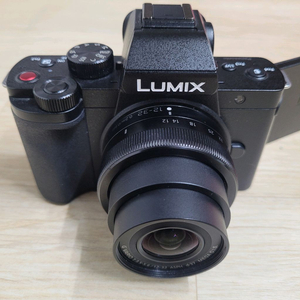 파나소닉 루믹스 DC-G100,핸드그립포함
