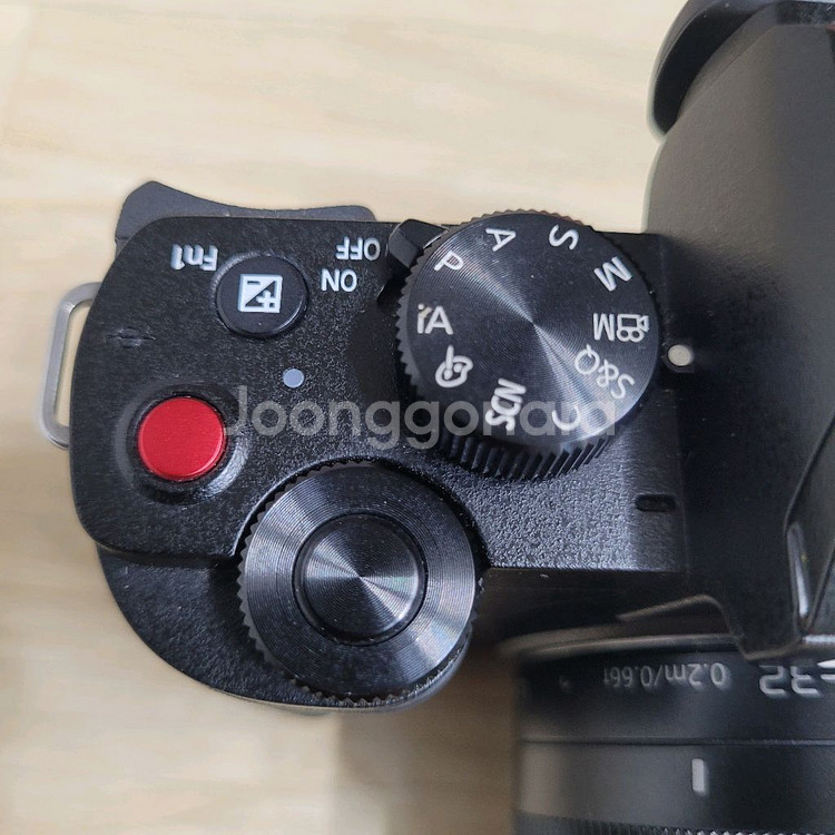 파나소닉 루믹스 DC-G100,핸드그립포함--2