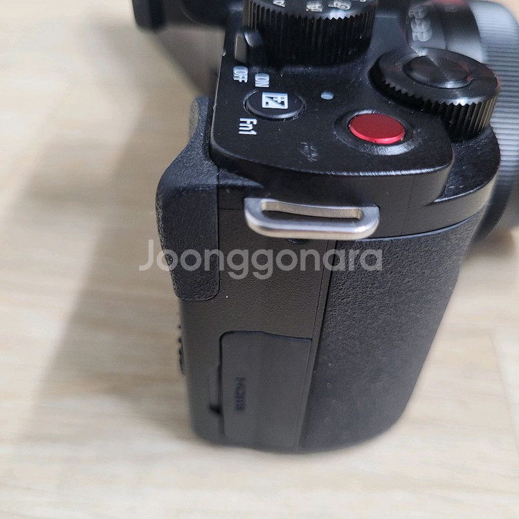 파나소닉 루믹스 DC-G100,핸드그립포함--5