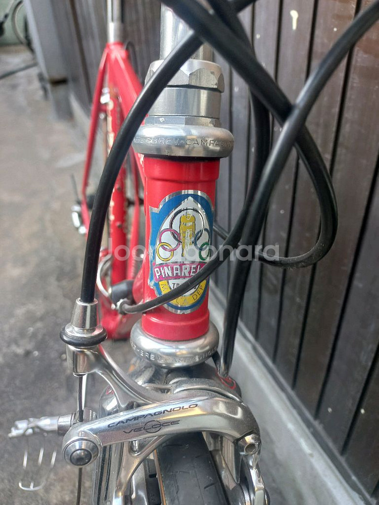 피나렐로 베네토--2