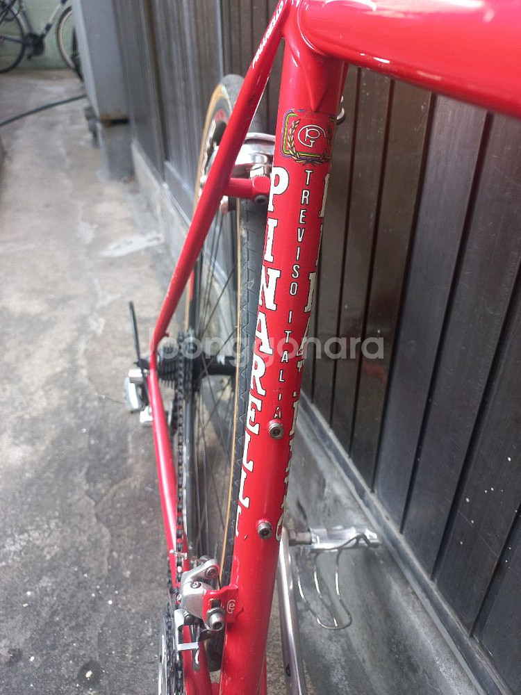 피나렐로 베네토--8