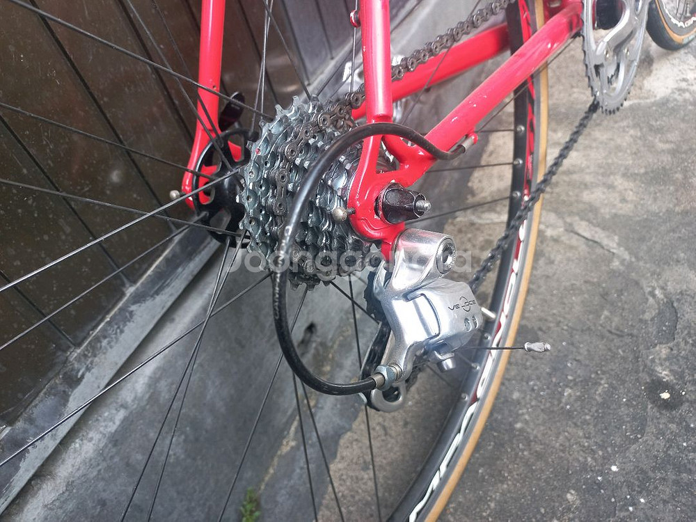 피나렐로 베네토--9