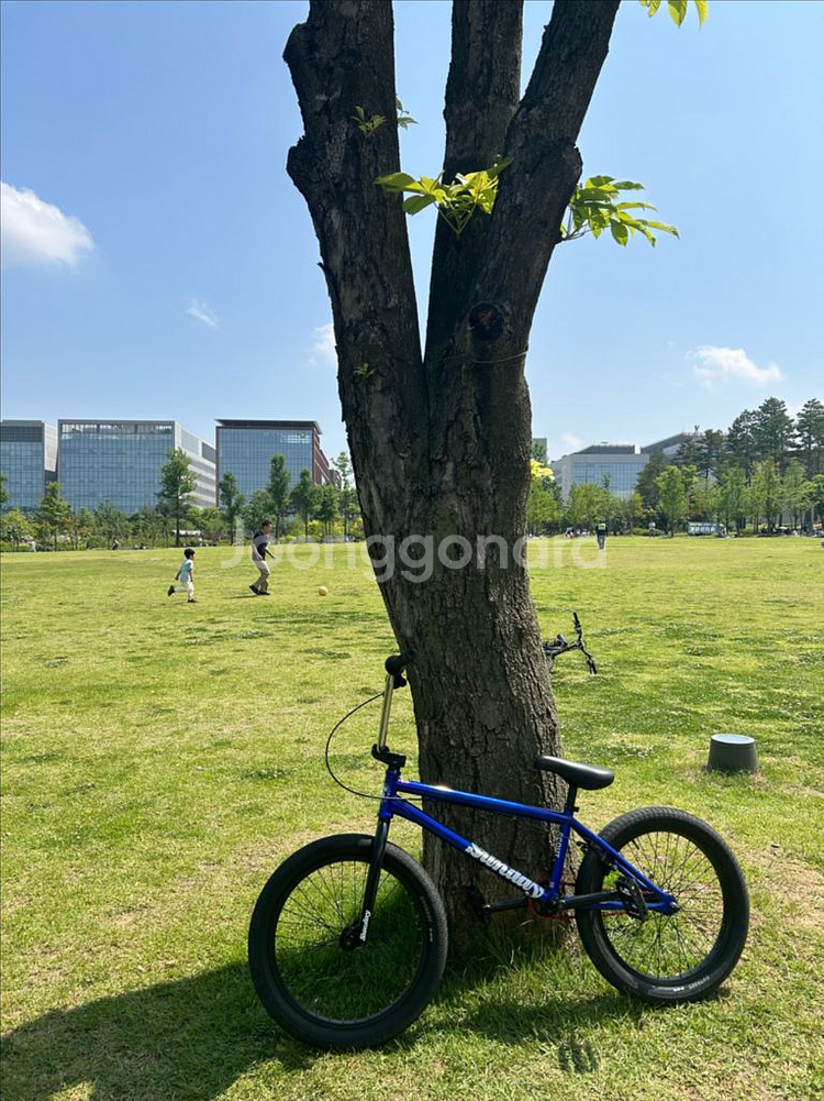선데이Bmx--0