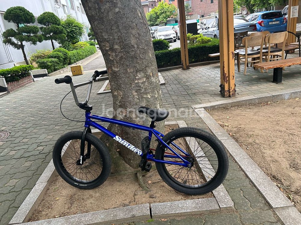 선데이Bmx--4