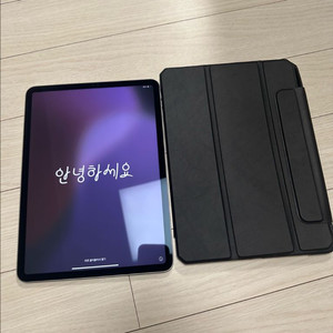 아이패드 프로 4세대 M2 11인치 256gb 스그