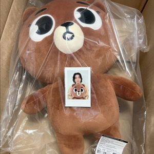 [폴라 포함] 자이언트 데니멀즈 방 방이 데이식스 성진