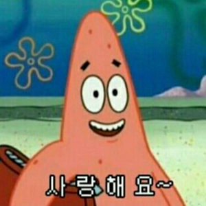 자바 벨로체 구매합니다