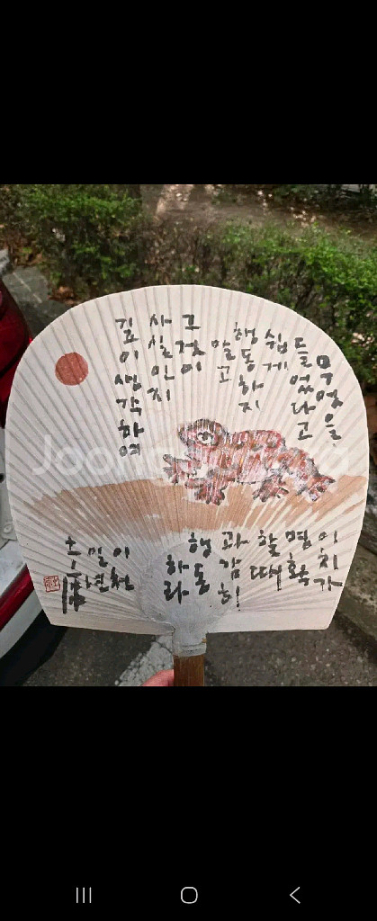 토루스님부채--0