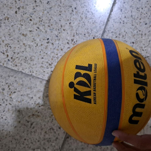 몰튼 리베르트리아 농구공6호