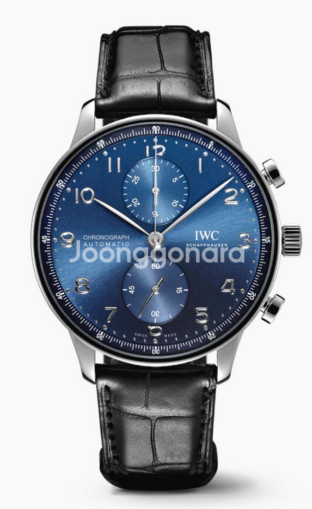 iwc 포르투기저 삽니다/교환합니다--0