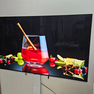 25년형 패널로 교체한 LG 55인치 OLED TV