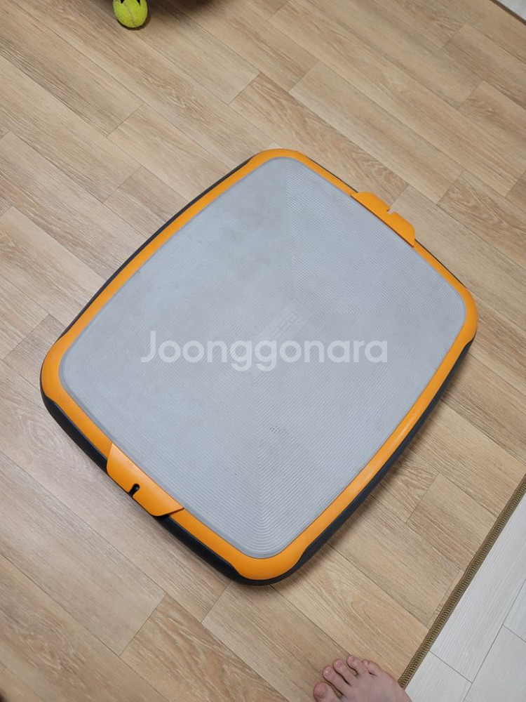 실내 줄넘기--0