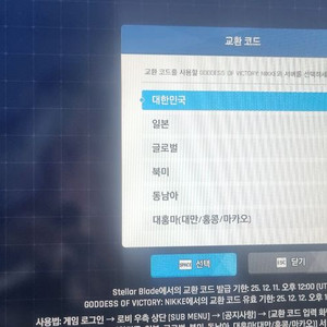 스텔라 블레이드 니케 스킨 코드
