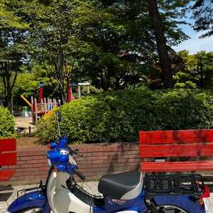 혼다 슈퍼커브 21년식/주행 30xxkm/바로 주행가능