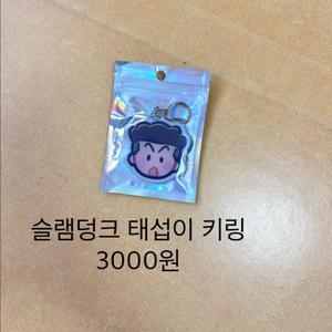 슬램덩크 송태섭 비공식 아크릴 키링