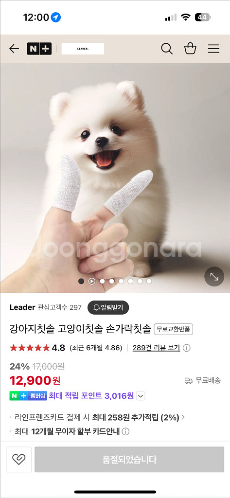 강아지 고양이 손가락칫솔--1