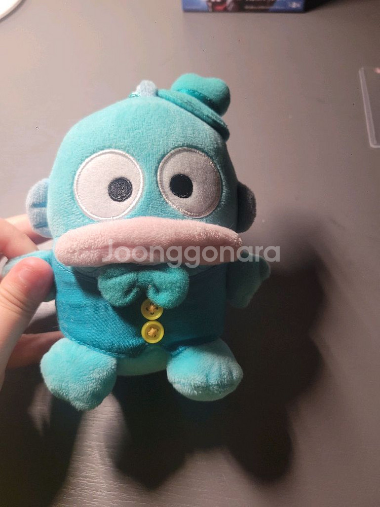 한교동 정품 산리오 인형--0