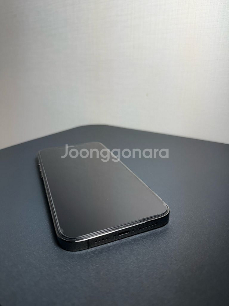 아이폰12promax(512G)+2배줌렌즈및전용케이지--10