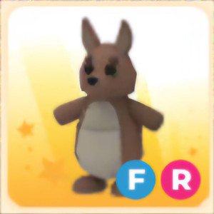 입양하세요 FR 캥거루