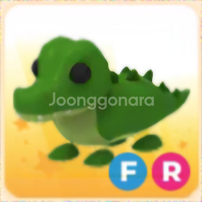 입양하세요 FR 악어--0